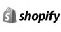 Shopify Development by HeyGoTo